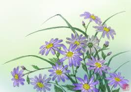 野菊