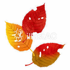 桜紅葉