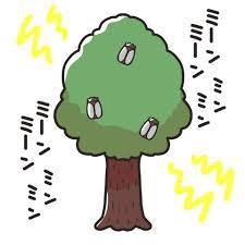 蝉時雨