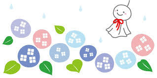梅雨に入る