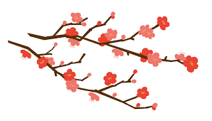 梅の花