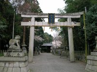 鞭崎神社の桜