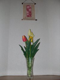 阪神が強いですね