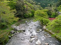 日曜日に愛宕さんに登りました