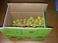 南高梅を買ってきました