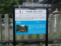 長命寺と八幡山　ｎｏ２