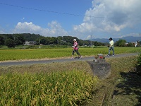 真野北ＮＷ(８月２４日）