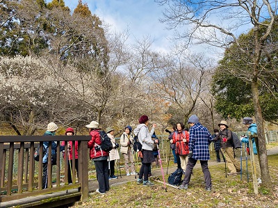 真野北ＮＷ（２月1９日）