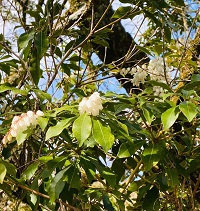 真野北ＮＷ（２月1９日）