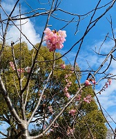 真野北ＮＷ（２月1９日）