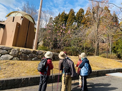 真野北ＮＷ（２月1９日）