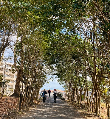 真野北ＮＷ（２月1９日）