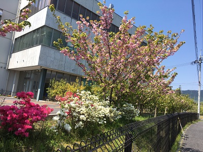 伊香立散策ー２