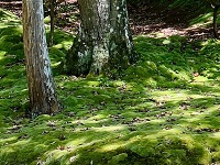 真野北ＮＷ
