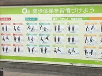 朝の散歩