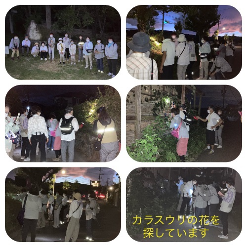 真野北ＮＷ（7月28日）
