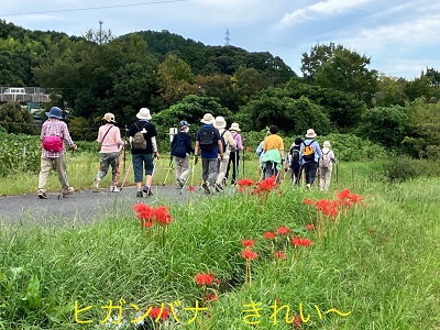 真野北ＮＷ（9月21日）
