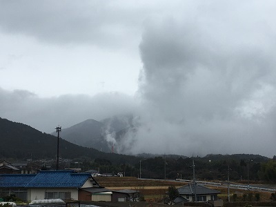 梅の開花情報