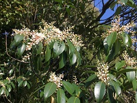 真野北ＮＷ（４月23日）