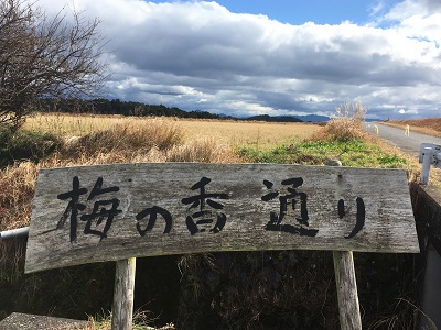伊香立梅林へ