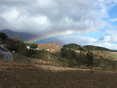 伊香立梅林へ