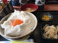伊香立梅林へ