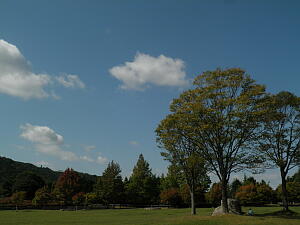 山遊び