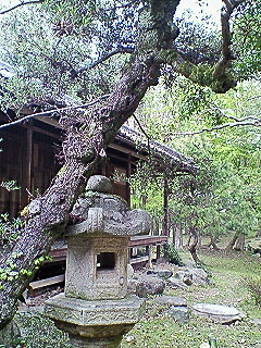 名勝「松原下屋敷庭園」特別公開（彦根市）