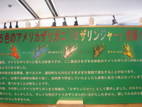 りょこうで・・・。すごっ！！