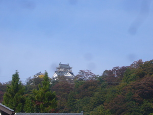 越前大野へ
