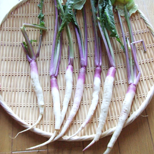 日野菜の食べ方