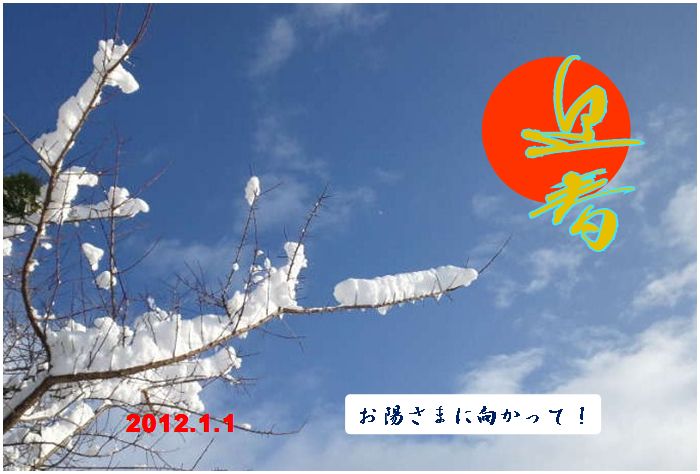謹賀新年