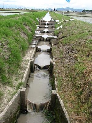 ゆりかご水田に昔なつかしい水車、ヴォワイアン(人物像)