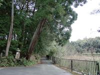 新茂智神社