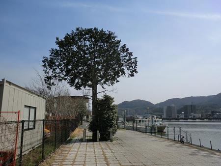 建部大社
