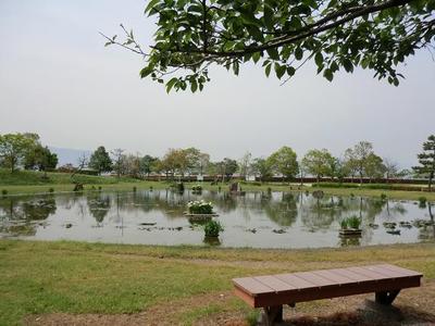 志那神社