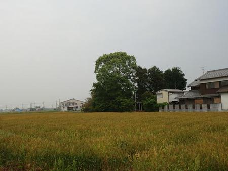 朝大神社跡地