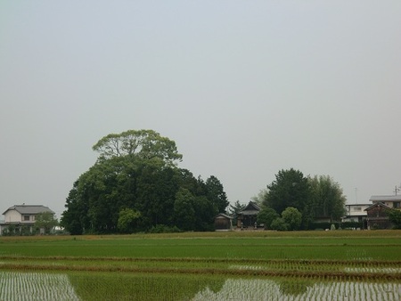 天神神社・観音堂