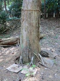十二将神社