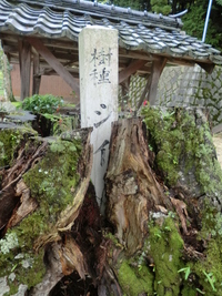 春日神社