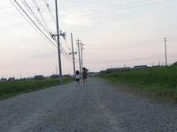 散歩道