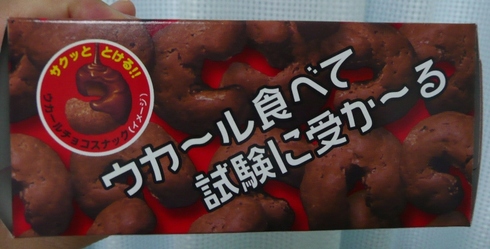ウカール食べてうかる？