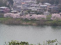 しじみのふる里　小松家