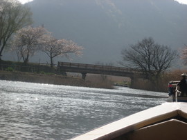近江八幡・水郷めぐり