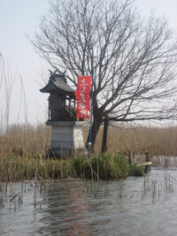 近江八幡・水郷めぐり