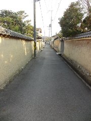 膳所城跡公園の桜と城下町