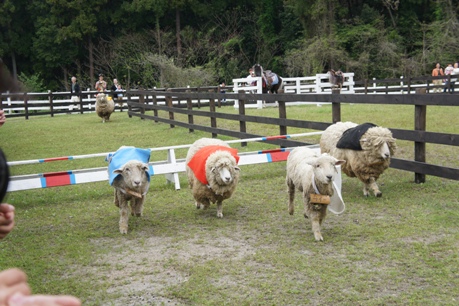 キタの大地へ・・・ローザンベリー多和田