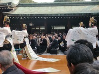 須原魚のゆりかご水田協議会：堀さんにインタビュー