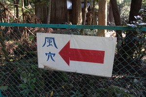 滋賀県｜鍾乳洞｜河内の風穴