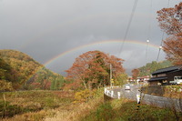 紅葉＋しぐれ　ときどき　二重虹☆